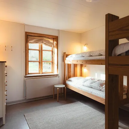 Tatil Evi Cattle And Wild Horses At Paogard Skovsgaard