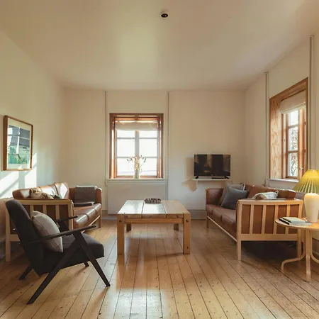 Cattle And Wild Horses At Paogard Skovsgaard *