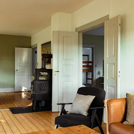 Cattle And Wild Horses At Paogard Skovsgaard Rudkøbing