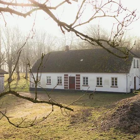 Cattle And Wild Horses At Paogard Skovsgaard Tatil Evi Rudkøbing