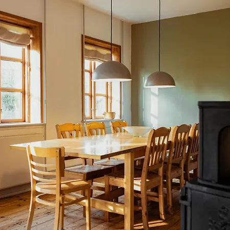 Cattle And Wild Horses At Paogard Skovsgaard