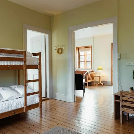 Cattle And Wild Horses At Paogard Skovsgaard Vakantiehuis *