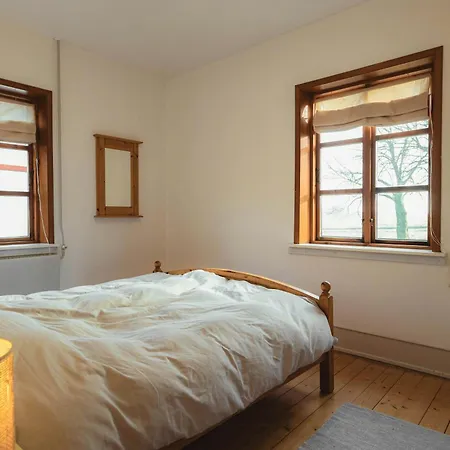 Cattle And Wild Horses At Paogard Skovsgaard * Rudkøbing