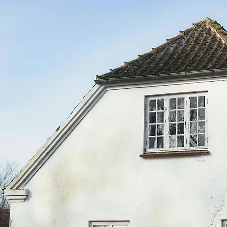 Tatil Evi Cattle And Wild Horses At Paogard Skovsgaard Rudkøbing