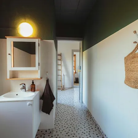 Cattle And Wild Horses At Paogard Skovsgaard *