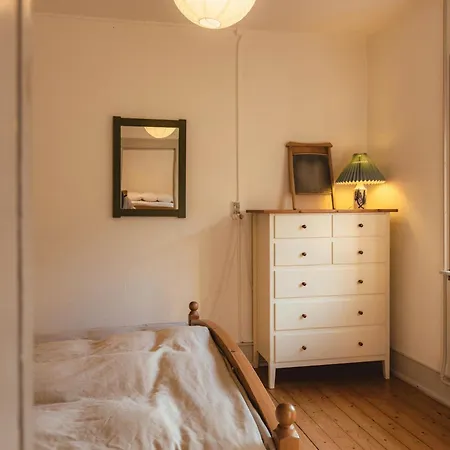 Cattle And Wild Horses At Paogard Skovsgaard *