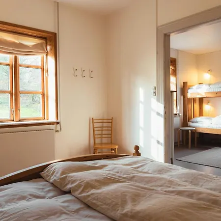 Cattle And Wild Horses At Paogard Skovsgaard * Rudkøbing