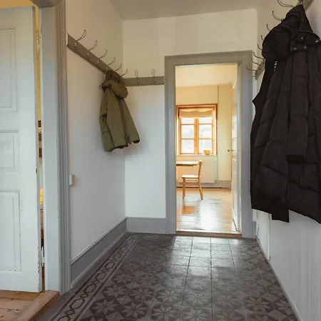 Cattle And Wild Horses At Paogard Skovsgaard Vakantiehuis