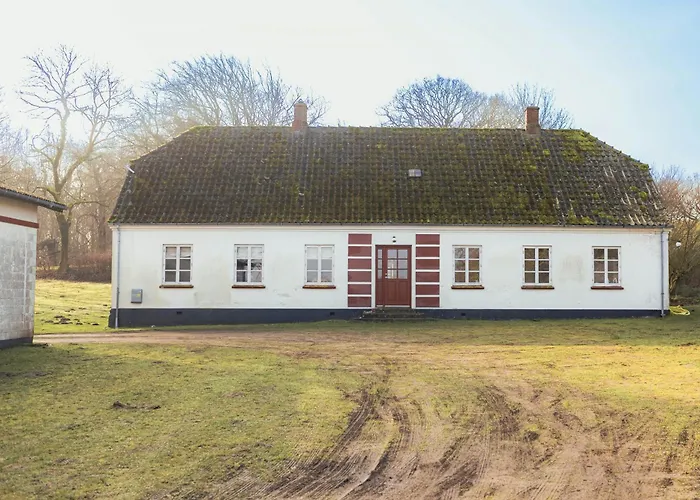 Cattle And Wild Horses At Paogard Skovsgaard Rudkobing