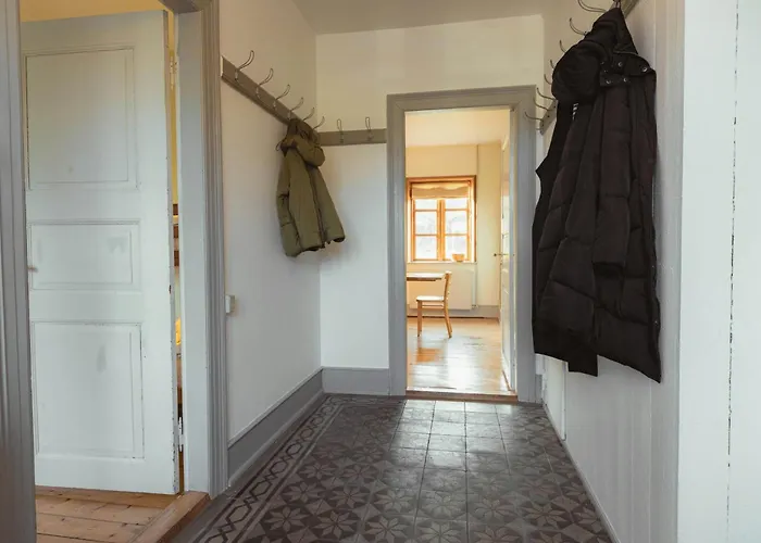 Cattle And Wild Horses At Paogard Skovsgaard Holiday home