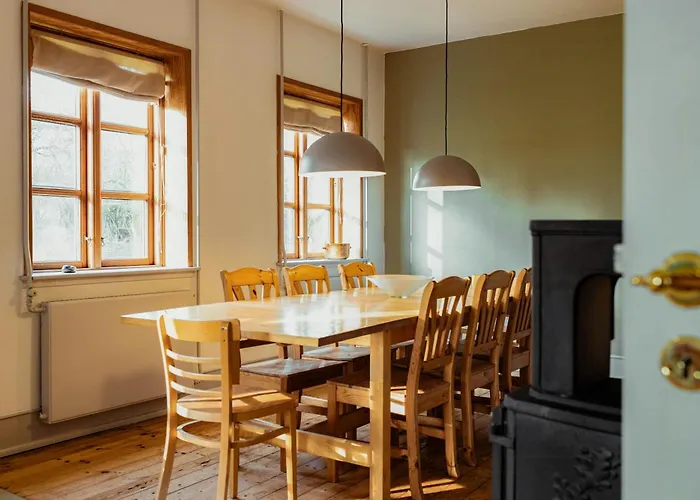 Cattle And Wild Horses At Paogard Skovsgaard