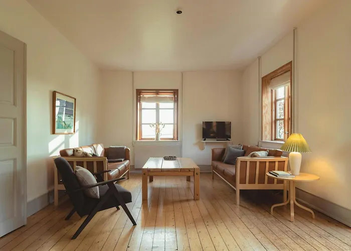 Cattle And Wild Horses At Paogard Skovsgaard Rudkobing