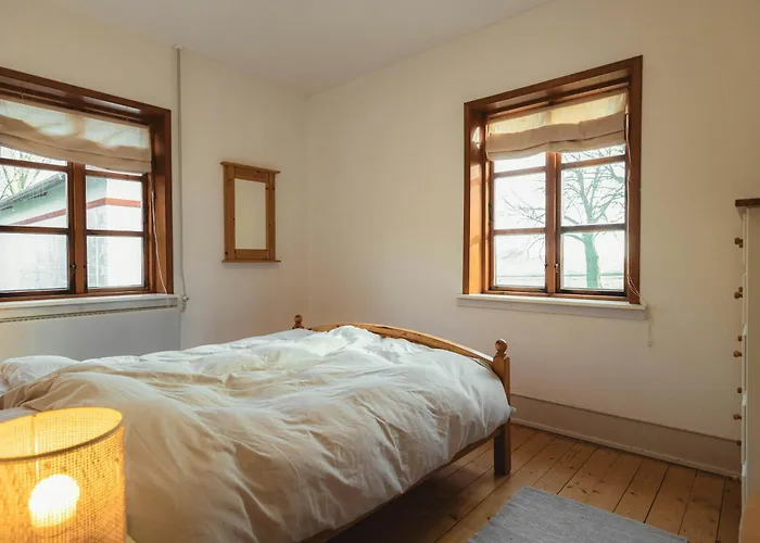 Cattle And Wild Horses At Paogard Skovsgaard Holiday home