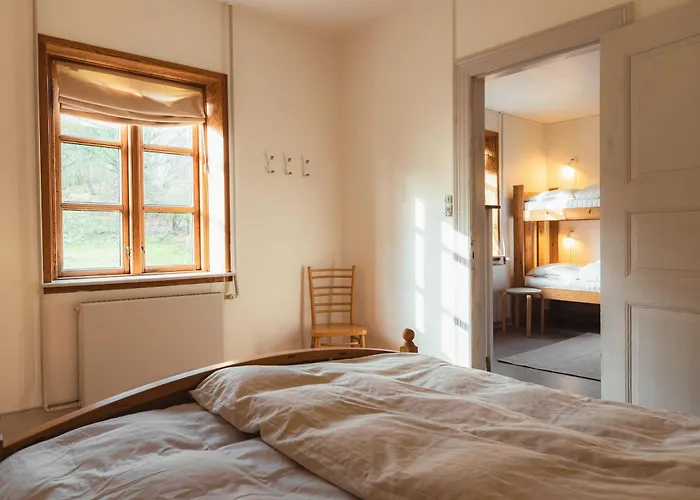 Cattle And Wild Horses At Paogard Skovsgaard Holiday home Rudkobing