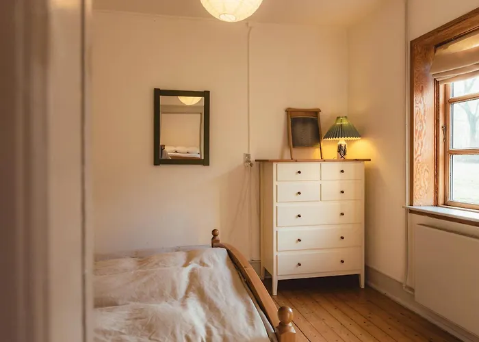 Cattle And Wild Horses At Paogard Skovsgaard Rudkobing