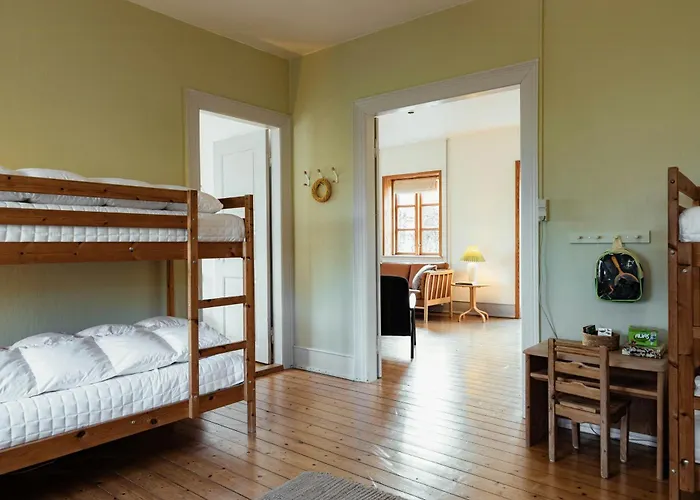 Cattle And Wild Horses At Paogard Skovsgaard Holiday home