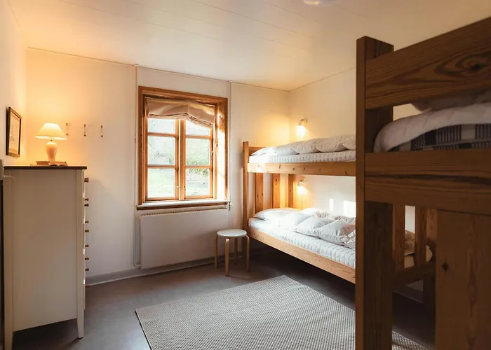 Cattle And Wild Horses At Paogard Skovsgaard Holiday home *