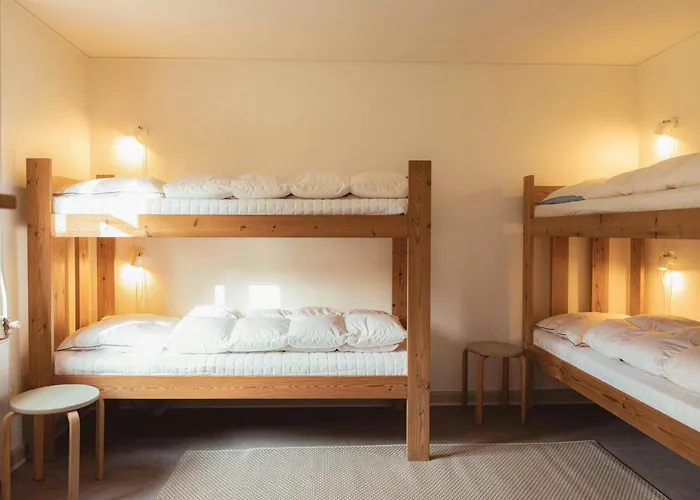 Cattle And Wild Horses At Paogard Skovsgaard Holiday home Rudkobing