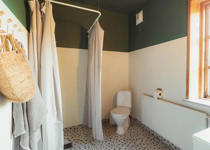 Cattle And Wild Horses At Paogard Skovsgaard Holiday home