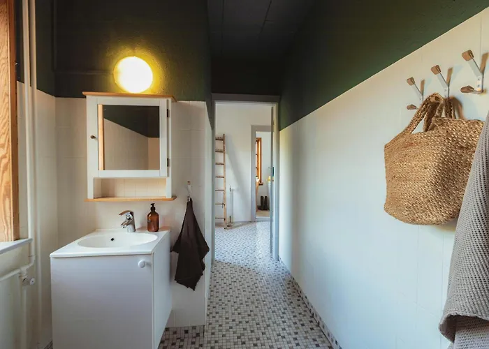 Cattle And Wild Horses At Paogard Skovsgaard *