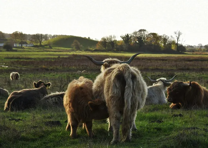 Holiday home Cattle And Wild Horses At Paogard Skovsgaard *