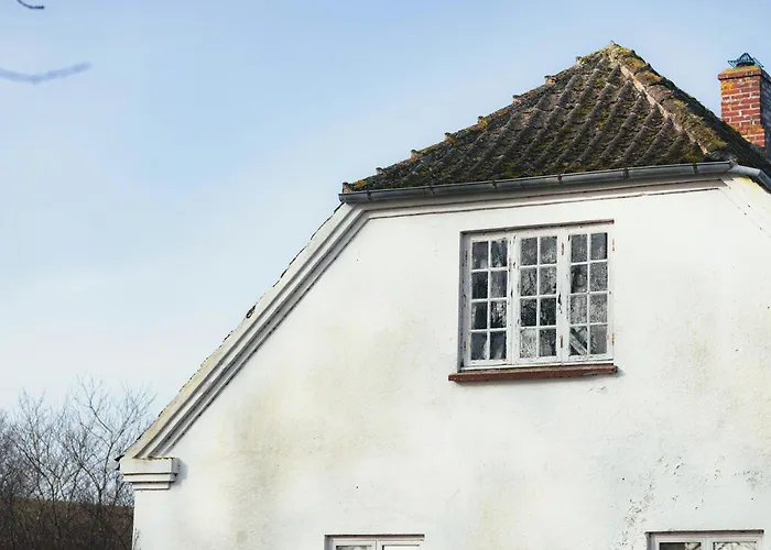 Cattle And Wild Horses At Paogard Skovsgaard * Rudkobing