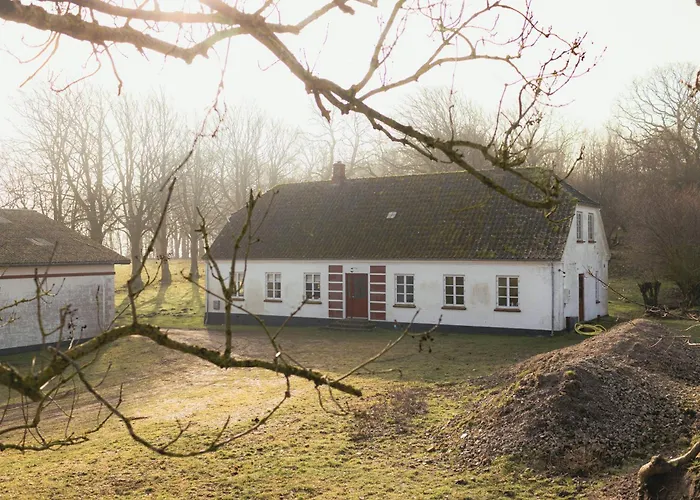 Cattle And Wild Horses At Paogard Skovsgaard Holiday home Rudkobing